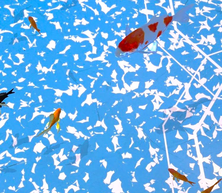 バーチャル金魚すくい